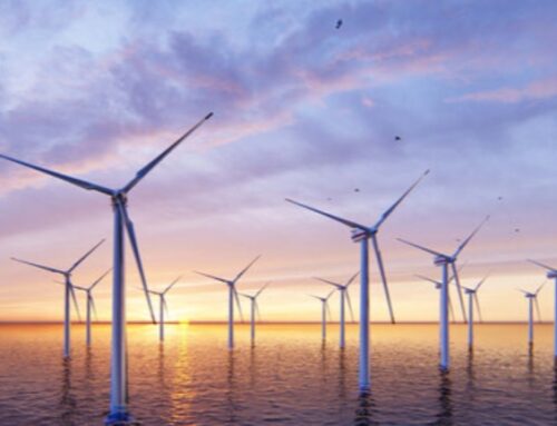 Boom degli investimenti in climate tech: nel 2023 sono stati 241 milioni!